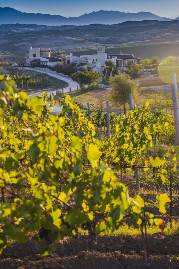 Zornitza Family Estate Relais & Chateaux Μελένικο Εξωτερικό φωτογραφία